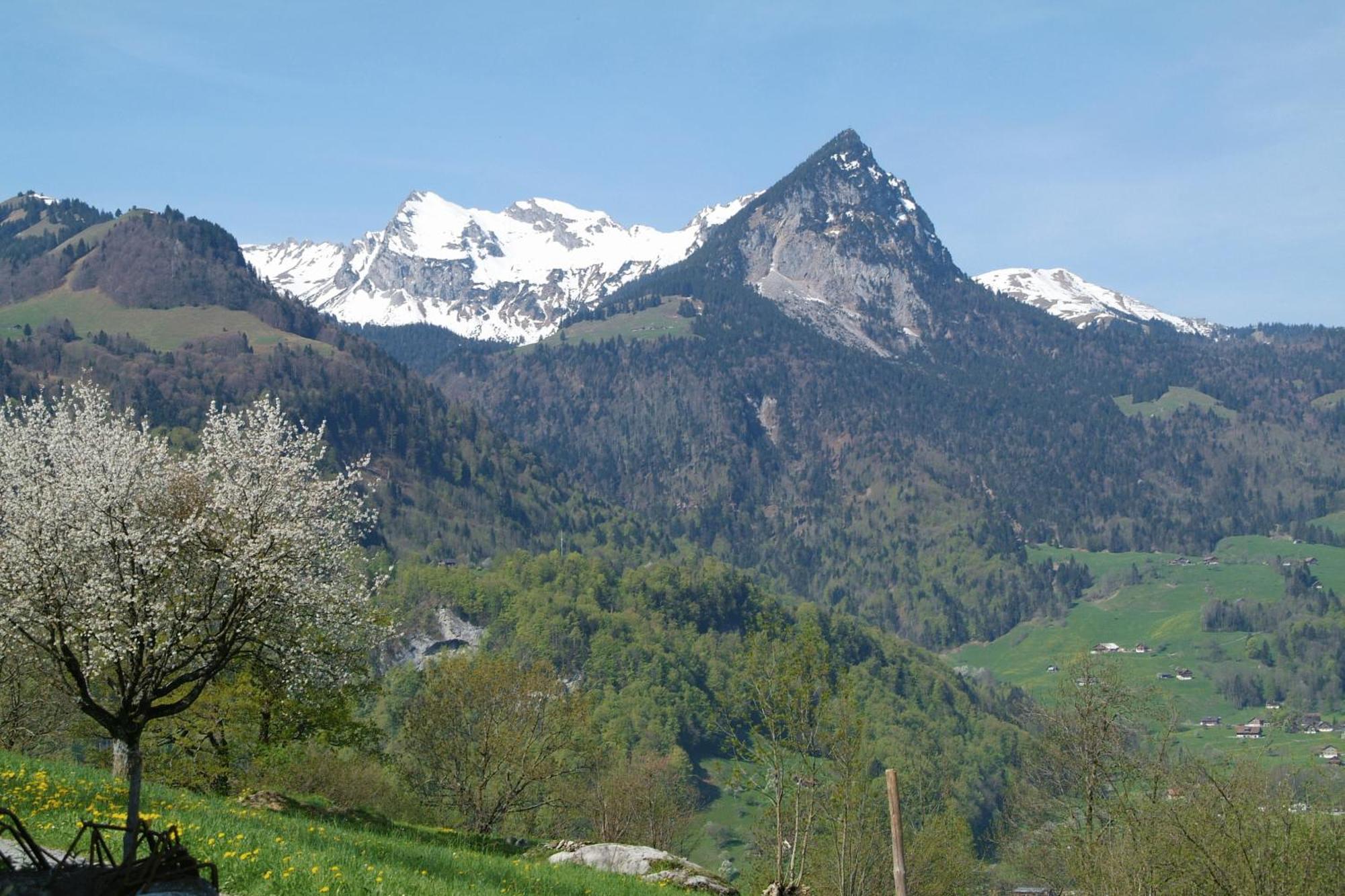 Landgasthof Grossteil Giswil ภายนอก รูปภาพ