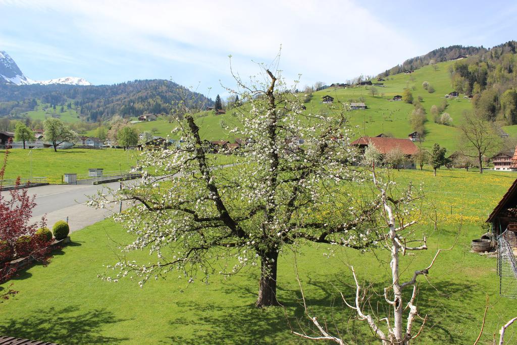 Landgasthof Grossteil Giswil ภายนอก รูปภาพ